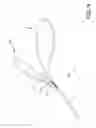 Fig. 10 - SAFETY DOG LEASH