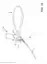 Fig. 16 - SAFETY DOG LEASH