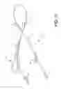 Fig. 18 - SAFETY DOG LEASH