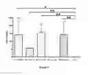 Fig. 08 - Vector construct with human hypoxia inducible factor α gene