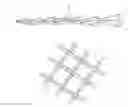 Fig. 01 - ENTANGLING HASTATE SETAE FOR PEST CONTROL