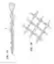 Fig. 02 - ENTANGLING HASTATE SETAE FOR PEST CONTROL