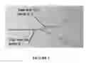 Fig. 02 - Method for Preparing Adipose Tissue