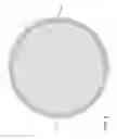 Fig. 08 - Form insert for use with a springform pan to make a uniform thickness crust