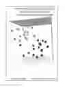 Fig. 01 - Nutritional supplement/feed formula and methods of use thereof to reduce development of Osteochondrosis Dissecans (OCD) lesions