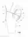 Fig. 08 - Compression bands, garments and related methods