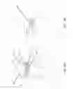 Fig. 07 - Functional brassiere