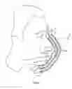 Fig. 04 - A FACEMASK HAVING ONE OR MORE NANOFIBER LAYERS
