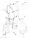 Fig. 01 - Clothing top for technology concealment