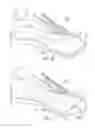 Fig. 09 - Article of footwear with decoupled upper