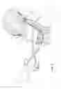 Fig. 03 - Hair Cutting Tool