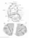 Fig. 03 - Storage and lubrication device for safety razors