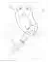 Fig. 01 - Carry Strap