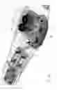 Fig. 09 - Chair