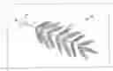 Fig. 01 - DECORATIVE TREE BRANCH EXTENSIONS