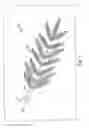 Fig. 02 - DECORATIVE TREE BRANCH EXTENSIONS