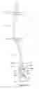 Fig. 04 - Method and apparatus for drawing cakes