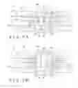 Fig. 08 - Actuating member and medical device