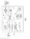 Fig. 08 - Glucose Measuring Device Integrated Into A Holster For A Personal Area Network Device