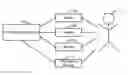 Fig. 01 - Statistical, noninvasive measurement of a patient's physiological state