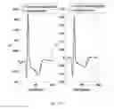 Fig. 20 - Integrated vectorcardiogram system and method of use