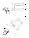 Fig. 02 - Non-invasive blood analysis