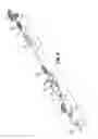 Fig. 04 - Lancet device with first-drop removal