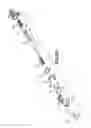 Fig. 28 - Lancet device with first-drop removal