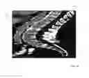 Fig. 12 - Systems and methods for emulating DEXA scores based on CT images