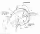 Fig. 01 - Method and apparatus for distracting a joint