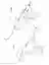 Fig. 06 - Arthroscopic surgical device