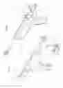 Fig. 11 - Arthroscopic surgical device