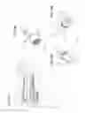 Fig. 22 - Arthroscopic surgical device
