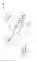 Fig. 71 - Arthroscopic surgical device