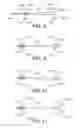Fig. 05 - Methods and Devices for Controlling the Size of Emphysematous Bullae