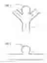Fig. 02 - METHODS AND DEVICES FOR TREATMENT OF VASCULAR DEFECTS