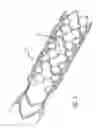 Fig. 03 - METHODS AND DEVICES FOR TREATMENT OF VASCULAR DEFECTS
