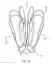 Fig. 19 - METHODS AND DEVICES FOR TREATMENT OF VASCULAR DEFECTS