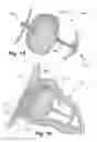 Fig. 12 - Occluder for occluding an atrial appendage and production process therefor