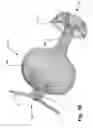 Fig. 13 - Occluder for occluding an atrial appendage and production process therefor