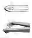 Fig. 09 - Tonsil forceps