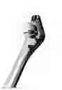 Fig. 16 - Tonsil forceps