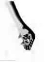 Fig. 19 - Tonsil forceps
