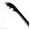 Fig. 20 - Tonsil forceps