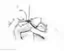 Fig. 01 - SUPPORT ELEMENT FOR CIRCUMCISION AND SYSTEM COMPRISING THE SAME