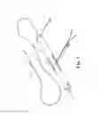 Fig. 02 - Methods, devices and systems for slow rotation of drive shaft driven atherectomy systems