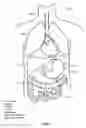 Fig. 02 - Devices and methods for intrahepatic shunts