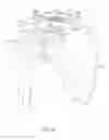 Fig. 09 - CLAVICLE FIXATION
