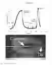 Fig. 22 - Energy delivery systems and uses thereof