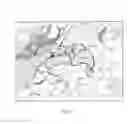 Fig. 08 - SURGICAL TISSUE RECOGNITION AND NAVIGATION APPARATUS AND METHOD